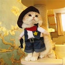 Leather cowboy boots are the most commonly associated boot with the american west. Amazon Com Mikayoo Pet Dog Cat Halloween Costumes The Cowboy For Party Christmas Special Events Costume West Cowboy Uniform With Hat Funny Pet Cowboy Outfit Clothing For Dog Cat L Kitchen