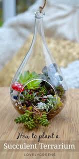 Learn how to craft a gorgeous terrarium centerpiece at home. How To Make A Succulent Terrarium Lovely Greens