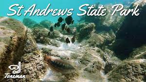Andrews bay on the other, visitors who crave swimming, snorkeling or surfing will be more than satisfied. Snorkeling At St Andrews State Park In Pcb Lots Of Fish Barracuda State Parks Park Panama City Beach Florida