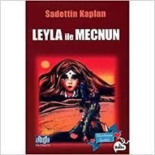 Aynı gün, aynı hastanede dünyaya gelen iki bebek, hastanedeki yatak sayısının azlığından dolayı yan yana yatırılır. Leyla Ile Mecnun Amazon De Sadettin Kaplan Bucher