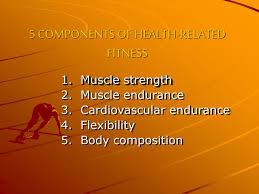 While there are five components of fitness, muscular strength and muscular endurance can fall under the same umbrella of muscular fitness. Ppt 5 Components Of Health Related Fitness Powerpoint Presentation Free Download Id 6591118