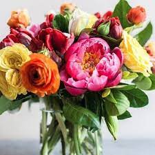 Flower delivery lexington * send flowers lexington * florist lexington our location: Oram Flowers Flowersoram Twitter