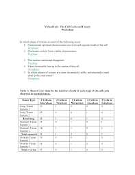 Stages of a cell cycle answer key part 1: The Cell Cycle And Cancer Worksheet Completed Virtual Lab The Cell Cycle And Studocu