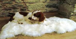 This sheepskin cleaning video shows how you can easily wash a sheepskin rug in a bath or tub at home using the gorgeous. How To Clean A Genuine Sheepskin Rug Organic Comfort Market