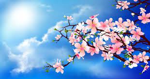 20 Pics Desktop Nature Springtime 83 Springtime Desktop Wallpapers On Wallpapers Mac Desktop Backgrounds Macbook Air Wallpaper Desktop Wallpapers Backgrounds