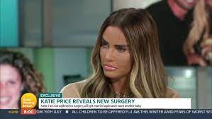 Katie price is an english model, author, designer and businesswoman. Katie Price In Hospital After Alleged Attack As Man Arrested Plymouth Live