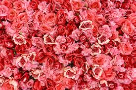 How 1 800 Flowers Com Became A Valentine S Day Gift Mainstay Vox I never thought that i'd find someone that makes me feel the way you do.