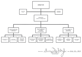 Hillbilly Cable Company Organizational Chart