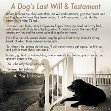Just Over The Rainbow Bridge Dog Love Will And Testament Dogs