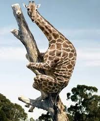 Oh Wow What A Great Writing Prompt Photo Writing Prompts Picture Writing Prompts Writing Pictures