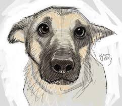 Information on the original source of each free downloadable image is included for people in other countries to verify the copyright status of the book, magazine, or other periodical the images originally appeared in. Cool Animal Drawings