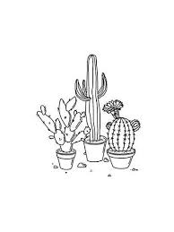 Aesthetic Black And White Cactus Drawing Black And White Aesthetic Google Search Dibujo Minimalista Imagenes Minimalistas Arte Minimalista