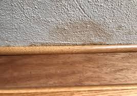 How to repair without full sanding. Water Damage In House Water Damage Signs Single Source