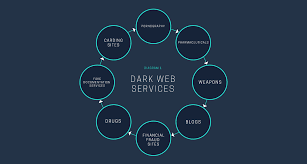 There Are Only 30,000 Websites on the Dark Web