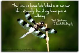 The spiritual meaning of the dragonfly. Never Forgotten Quotes Death Grandma Quotesgram