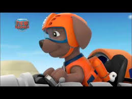 For more fun inspired by the big screen, look. Paw Patrol Zuma Youtube