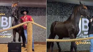 Gusttavo Lima vende cavalo por R$ 1,1 milhão e doa para o hospital de câncer em Goiás