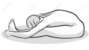 Risultati immagini per paschimottanasana