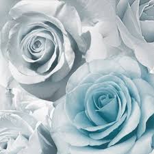 We’ve collected 27 wedding invitation ideas to inspire you. Teal Flowers Wallpapers 4k Hd Teal Flowers Backgrounds On Wallpaperbat