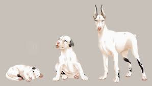 Growing Up By Mr Skid Animal Drawings Canine Art Cute Animal Drawings