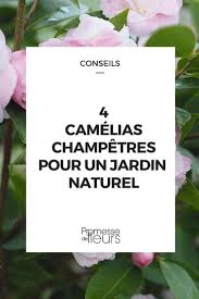 4 Camelias Champetres Pour Un Jardin Naturel Jardin Naturel Jardins Jardins Champetres