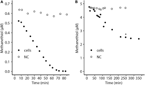 Image result for Methanethiol