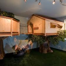 Indoor Tree House Design Ideas Pictures Remodel And Decor Indoor Tree House Tree House Designs Bedroom Green