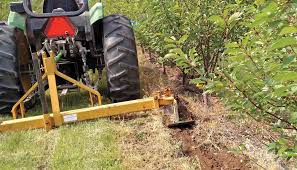 Wider angles can break when laden with fruit and narrower angles lead to bushy growth and fruit that is too high to pick. Root Pruning Is Making A Comeback Good Fruit Grower