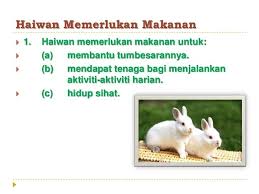 Manusia dan haiwan akan mati jika keperluan hidup mereka tidak dipenuhi dalam jangka masa yang lama. Sains Keperluan Asas Haiwan Tuisyen Individu Facebook