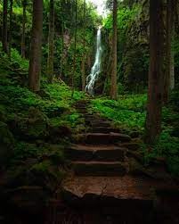 Fairytale Landscapes In The Black Forest Germanytourism Germany Blackforest Black Forest Germany Black Forest Beautiful Landscape Photography