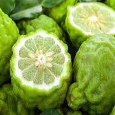 Native to the north carolina mountains, it may be seen along the blue ridge parkway flowering during the summer months. Bergamot Essential Oil Cosy Owl Candle Making Supplies Soap Making Craft Supplies Specialists