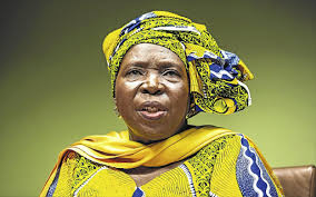 Steenhuisen tells ramaphosa to end lockdown: Blue Light Perks End For Nkosazana Dlamini Zuma