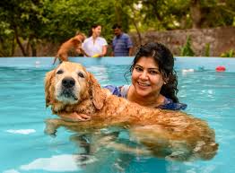 Webmd explains the infections your dog or cat can pick up and pass along. 11 Indian Pet Startups That Care About Your Furry Friends
