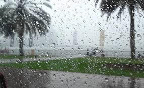 فوائد المطر للإنسان افضل اجابة