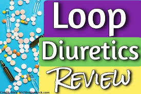 Image result for Loop Diuretic