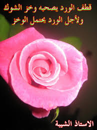 كلام غزل عن الورد الاصفر aiqtabas blog