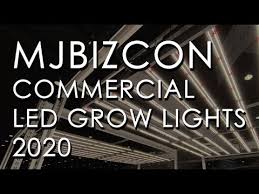 We reviewed hundreds of led grow lights available on the market as of nov 2020 and created a simple list to help you pick the best led lamp for your cannabis grow.each lamp was evaluated across a variety of factors: Mjbizcon Commercial Led Grow Lighting For 2020 Youtube