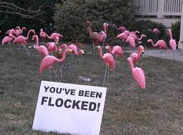 20 Best Yard Pranks Ideas Pranks Yard Pranks April Fools Pranks