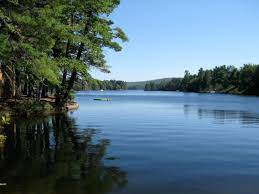 A turtle has a flat, streamlined shell and limbs that are quite similar to a tortoise's, but the turtle's feet are webbed and have long claws which provide a good grip upon floating logs and help the reptile climb onto riverbanks. Pine River Pond Wikipedia