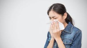 Oct 29, 2019 · saat cuaca yang sedang ekstrim, beberapa penyakit seperti pilek dan batuk sering menghampiri. 5 Pilihan Obat Flu Alami Untuk Redakan Batuk Pilek