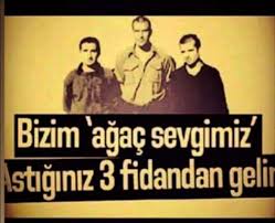 Emel Tuna Adli Kullanicinin Daragicinda Fidanlar Panosundaki Pin Siir Alintilari Ozlu Sozler Daragaci
