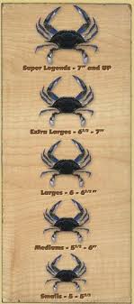 87 Best Crabby Images Crab Art Crab Painting Crab Decor