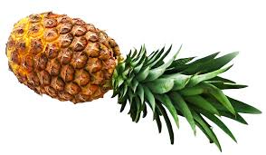 Download Pineapple Png Image For Free All images is transparent background and free download. download pineapple png image for free