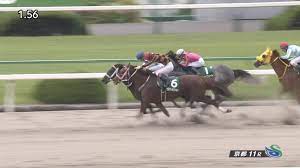 (c96) ほるもんカレー (鳶村) 指揮官のせいだから (少女前線) 英訳. å¹³å®‰ã‚¹ãƒ†ãƒ¼ã‚¯ã‚¹2021 å‡ºèµ°äºˆå®šé¦¬ äºˆæƒ³ã‚ªãƒƒã‚º é¨Žæ‰‹ æ›´ãªã‚‹é«˜ã¿ã¸