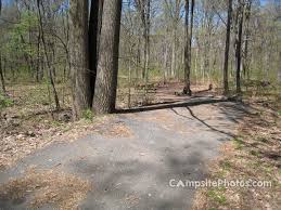 Turn west onto pa 23, then north onto pa 345. French Creek State Park Campsite Photos Reservations Info