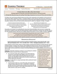 executive resumes & other career