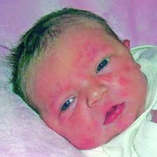 Willow Grace Faulkner