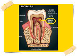 Syuibb tampal gigi is on facebook. Kenapa Sakit Gigi Ketika Mengunyah Selepas Buat Tampal Gigi Tooth Filling Bagaimanakah Menyelesaikannya Blog Sofinahlamudin Com