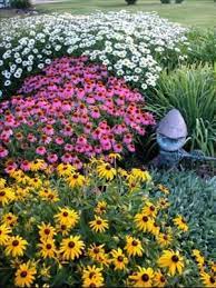 Pin On Garden Plants