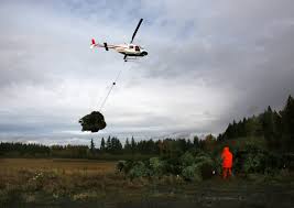 Oregon city, or 97045 (hillendale area). Behind The Scenes At An Oregon Christmas Tree Empire Oregonlive Com